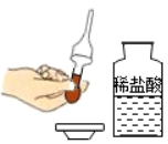 图片_x0020_1691972584