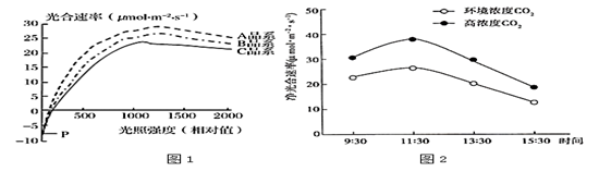 图片_x0020_100003