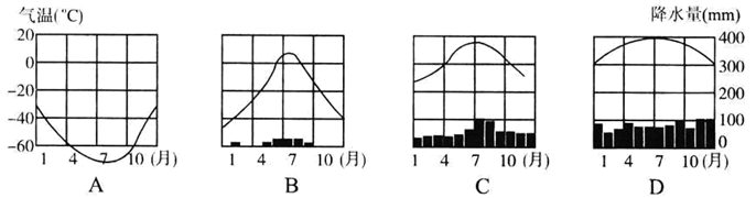 图片_x0020_100010