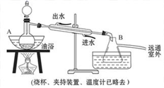 图片_x0020_2081806330