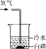 图片_x0020_100012
