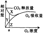 图片_x0020_1501162073