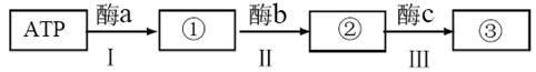 图片_x0020_198961942