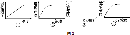 图片_x0020_328313206
