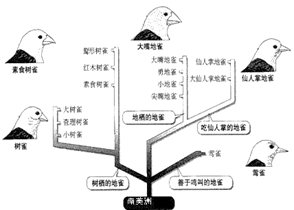 图片_x0020_816983701