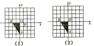 图片_x0020_100014