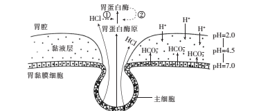 图片_x0020_100001