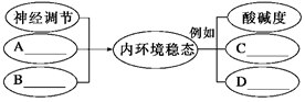图片_x0020_1034544851