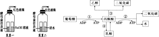 图片_x0020_1255024045