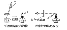 图片_x0020_100012
