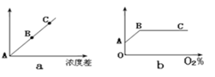 图片_x0020_100002