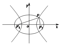 图片_x0020_1929428530
