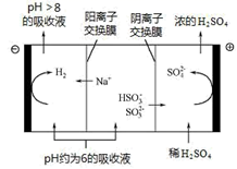 图片_x0020_100044