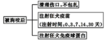 图片_x0020_1562472815
