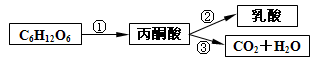 图片_x0020_184722928