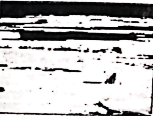 图片_x0020_100005