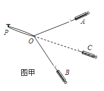 图片_x0020_100020