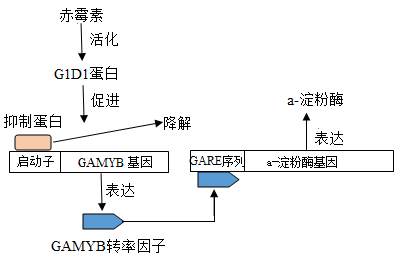图片_x0020_1048346199