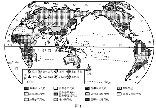 图片_x0020_100011