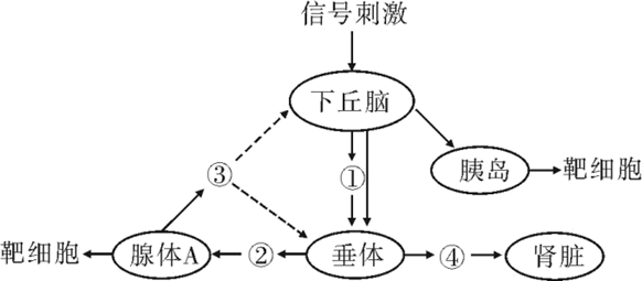 图片_x0020_100004