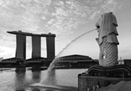 图片_x0020_100012