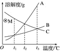 图片_x0020_100020