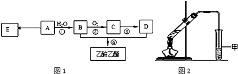 图片_x0020_100037