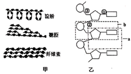 图片_x0020_100013