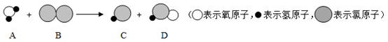 图片_x0020_1876128645