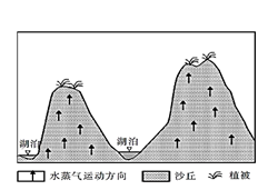 图片_x0020_100002