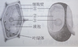 图片_x0020_406549023