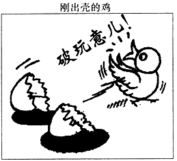 图片_x0020_100001