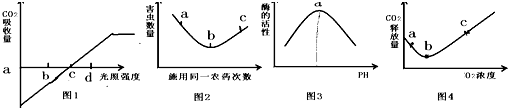 图片_x0020_1