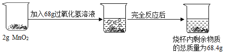 图片_x0020_1390610430