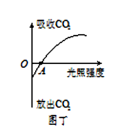 图片_x0020_100009