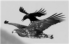 图片_x0020_100001