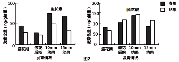 图片_x0020_100012
