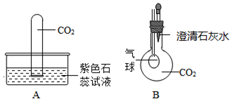 图片_x0020_100005