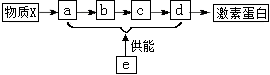 图片_x0020_100012