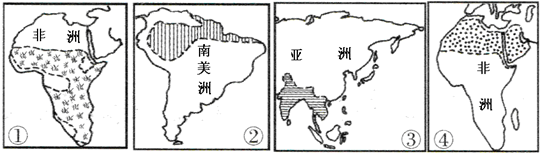 图片_x0020_100009