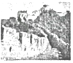 图片_x0020_12