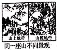图片_x0020_100001