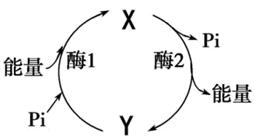 图片_x0020_100003