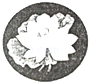 图片_x0020_1780682955