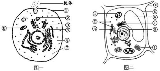 图片_x0020_100010