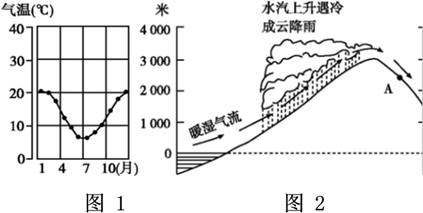 图片_x0020_100006