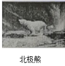 图片_x0020_100002