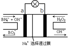 图片_x0020_100004