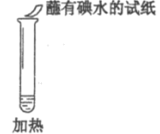 图片_x0020_1562080546