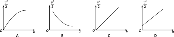 图片_x0020_100003